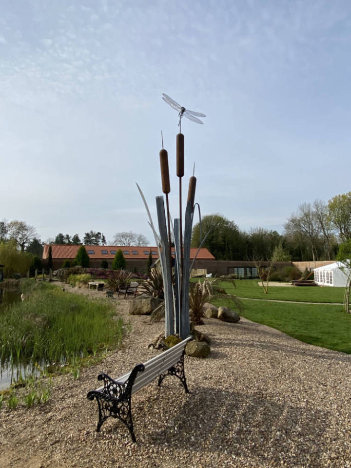 Giant Bulrush and Dragonfly